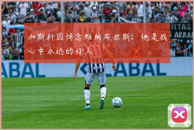 加斯科因悼念维纳布尔斯：他是我心中永远的好人