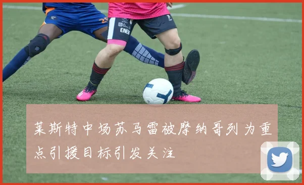 莱斯特中场苏马雷被摩纳哥列为重点引援目标引发关注