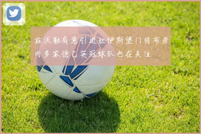 兹沃勒有意引进杜伊斯堡门将布劳内多家德乙英冠球队也在关注