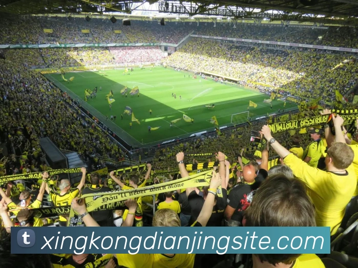 多媒体互动体验